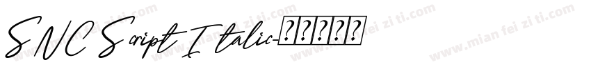 SNC Script Italic字体转换